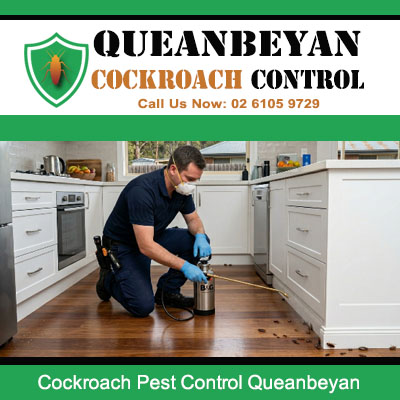 Professional pest technician wearing gloves spraying pressurised canister along kitchen cabinet and appliance base for cockroach control in Queanbeyan NSW property